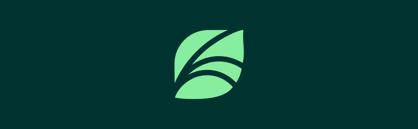 Spring Health's new brand