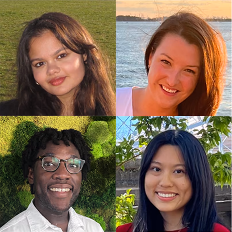 Spring Health interns Sophia, Ibrahim, Saloni, and Morgan