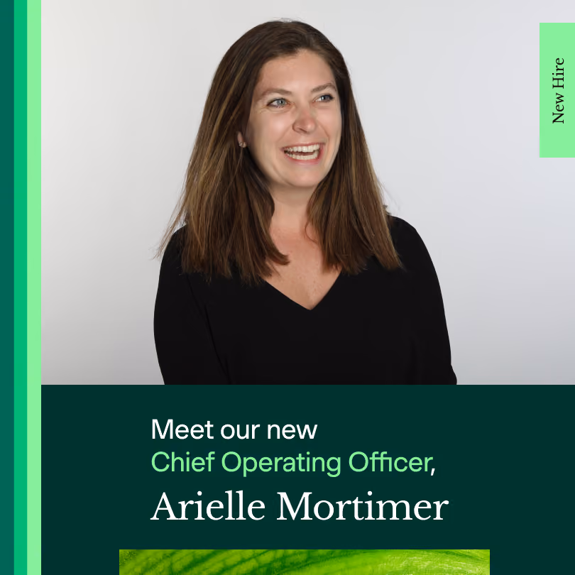 Welcoming Spring Health’s New Chief Operating Officer, Arielle Mortimer 