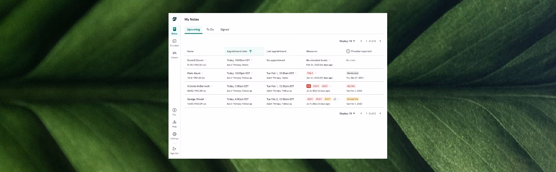 Spring Health's Compass platform dashboard