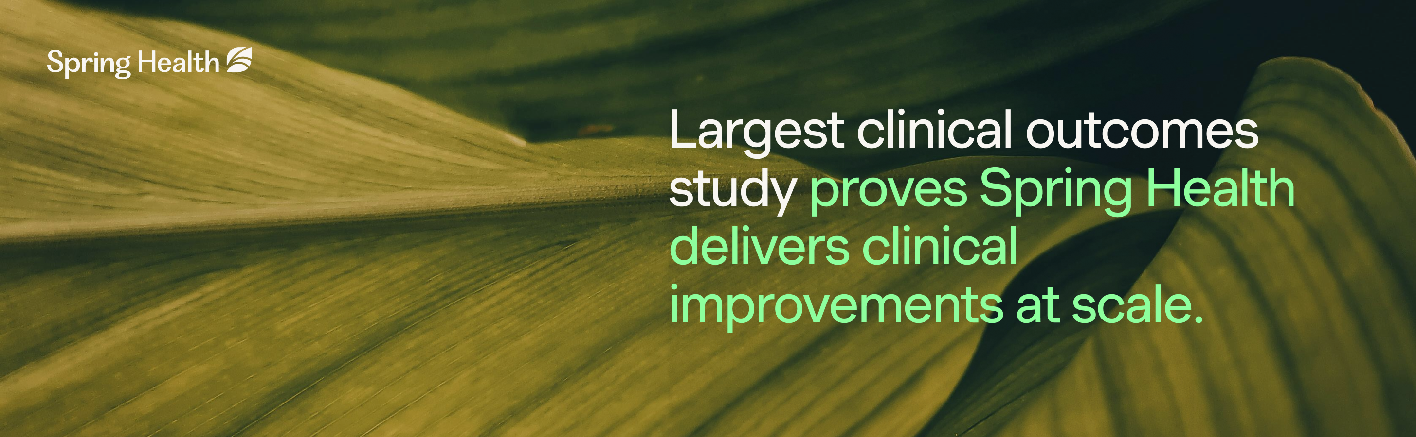 A Therapist’s Guide for Surviving Holiday Stress