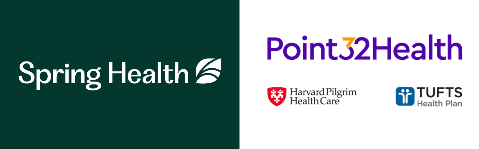 ‍Spring Health Selected by Point32Health to Support Emotional Health ...