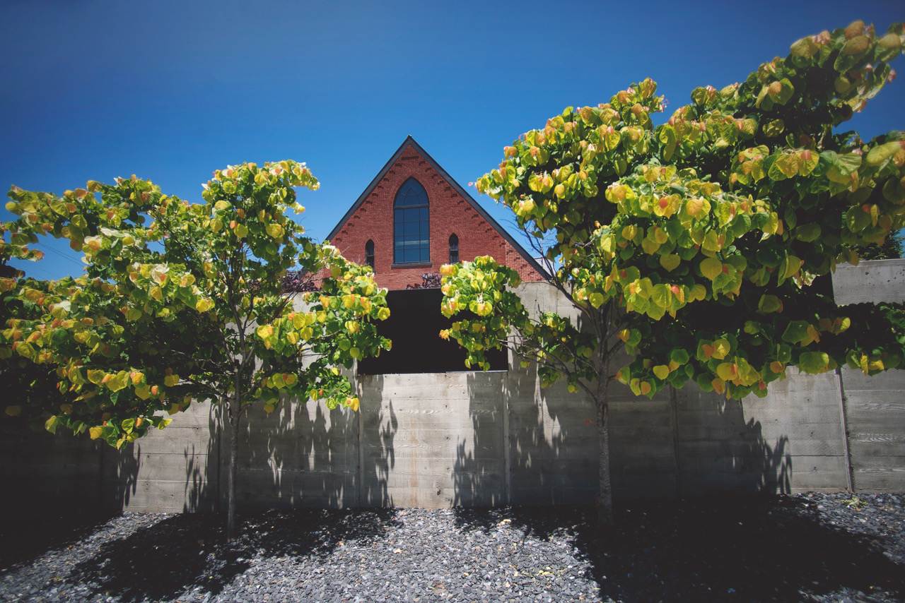 A glimpse of Clementine over the courtyard walls