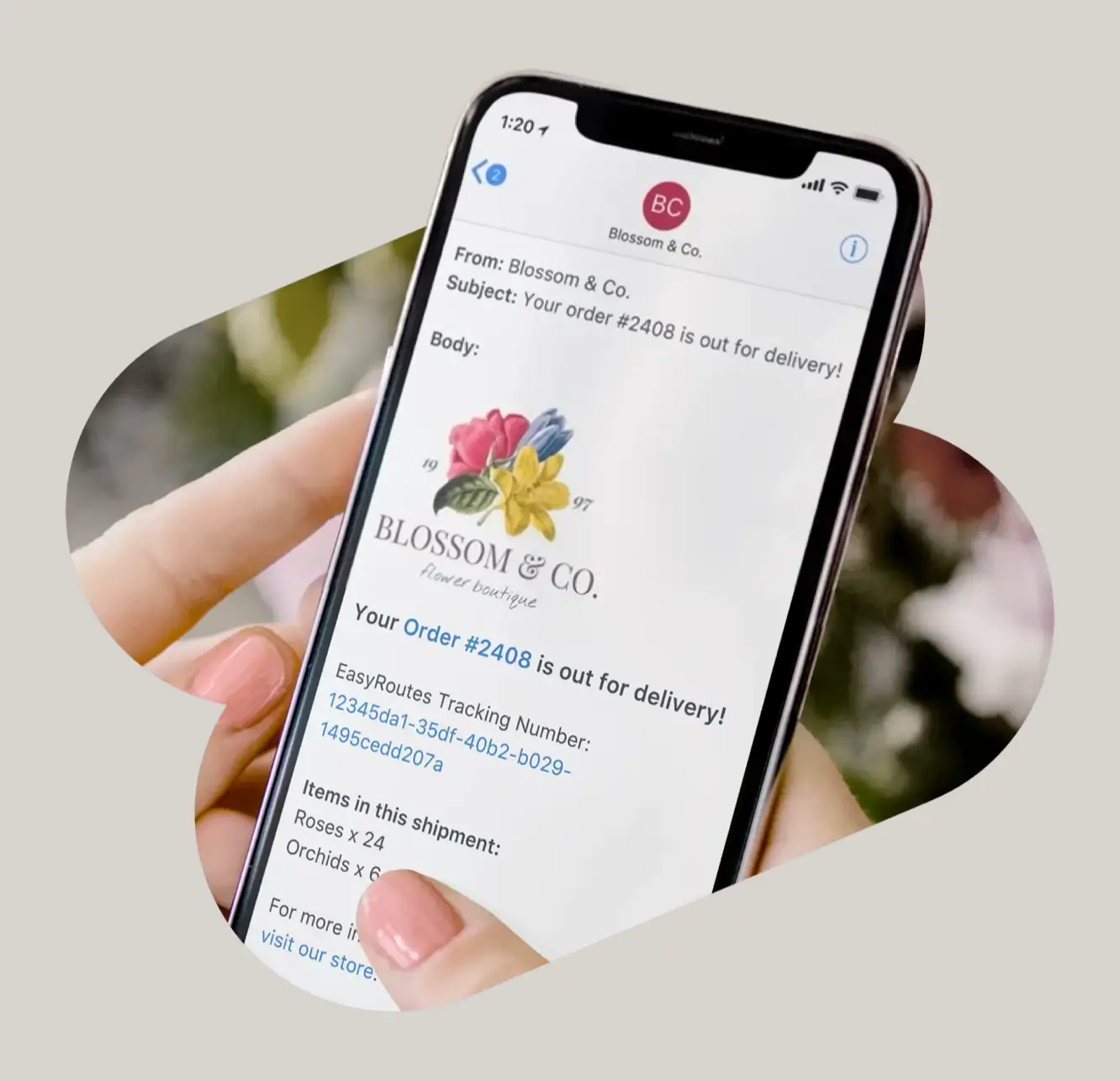 Create optimized delivery routes from your orders.