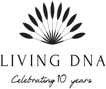 Integrate EasyRoutes Webhooks with Zapier