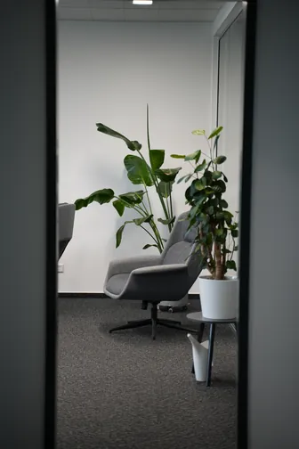 Büro von HOSH MEDIA mit Pflanze und Sessel