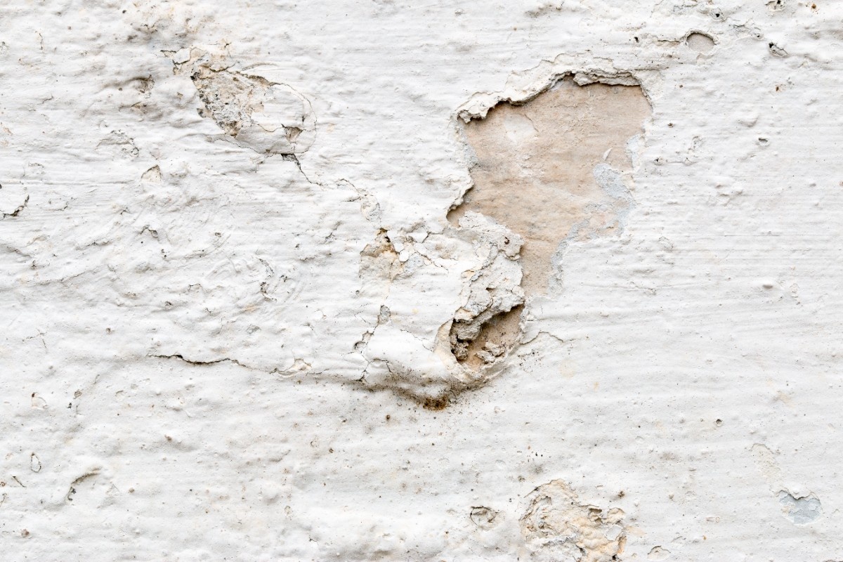 Peeling white paint on a wall of a Bellevue home, showing signs of drywall damage