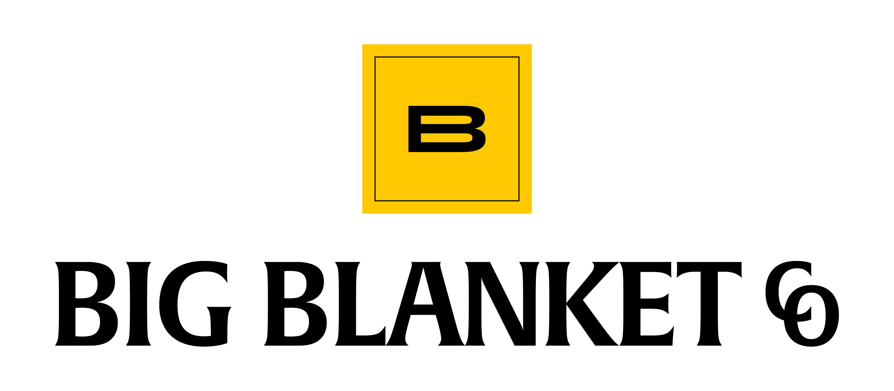 Transforming Google Ads Performance with Precision and Dedication for Big Blanket Co.