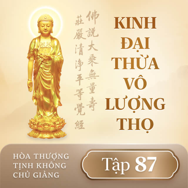 Kinh Đại Thừa Vô Lượng Thọ - Tập 87
