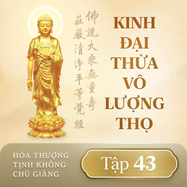 Kinh Đại Thừa Vô Lượng Thọ - Tập 43