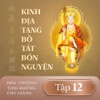 Kinh Địa Tạng Bồ Tát Bổn Nguyện - Tập 12