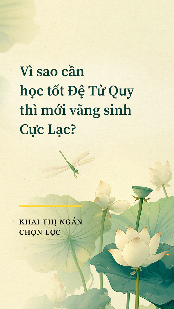 Vì sao cần học tốt Đệ Tử Quy thì mới vãng sinh Cực Lạc?