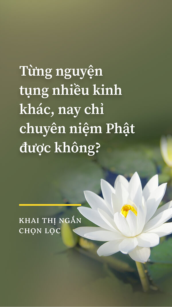 Từng nguyện tụng nhiều kinh khác, nay chỉ chuyên niệm Phật được không?