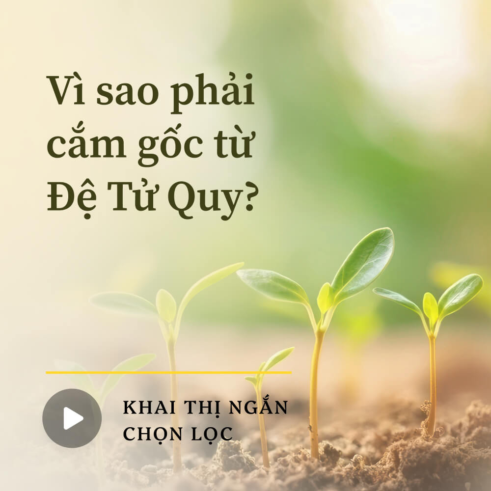 Vì sao phải cắm gốc từ Đệ Tử Quy?