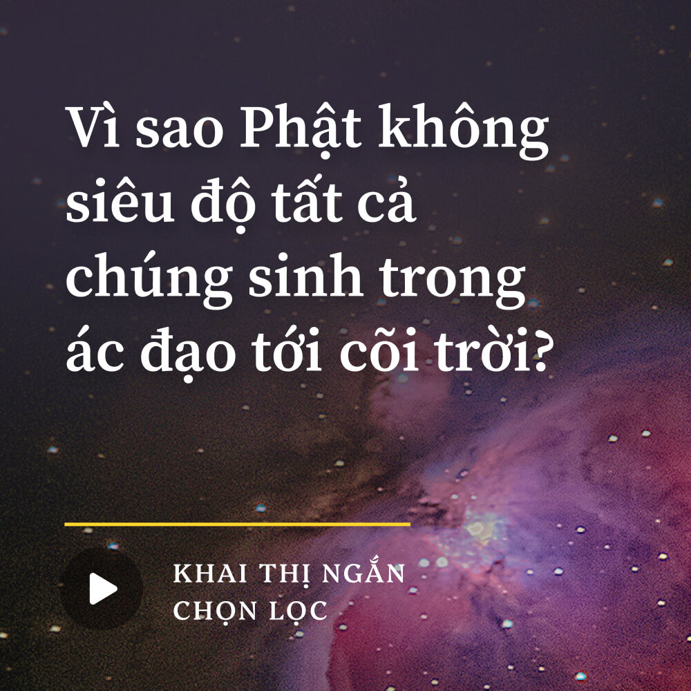 Vì sao Phật không siêu độ tất cả chúng sinh trong ác đạo tới cõi trời?