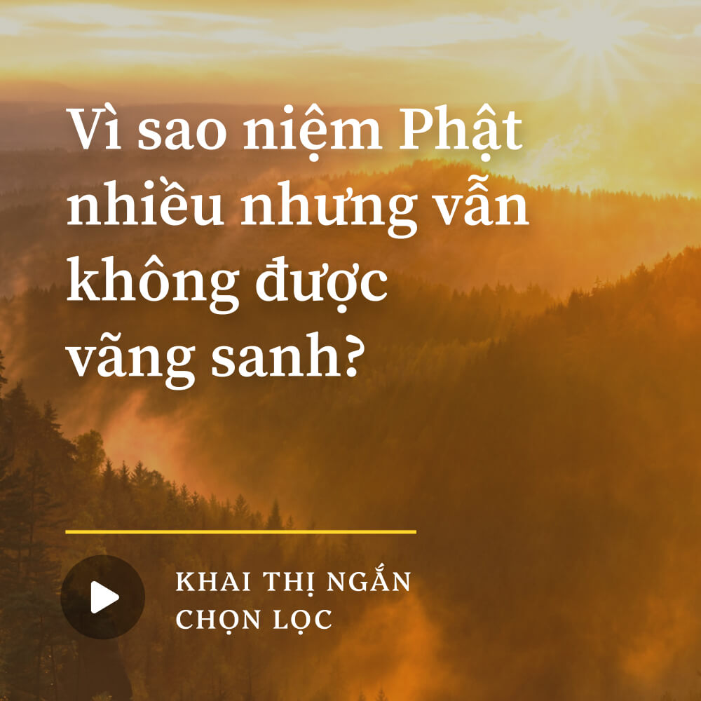 Vì sao niệm Phật nhiều nhưng vẫn không được vãng sanh?