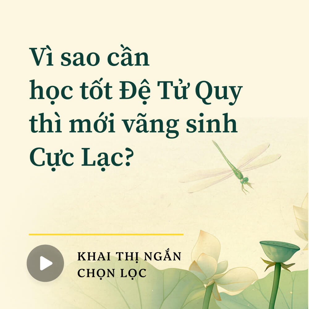 Vì sao cần học tốt Đệ Tử Quy thì mới vãng sinh Cực Lạc?