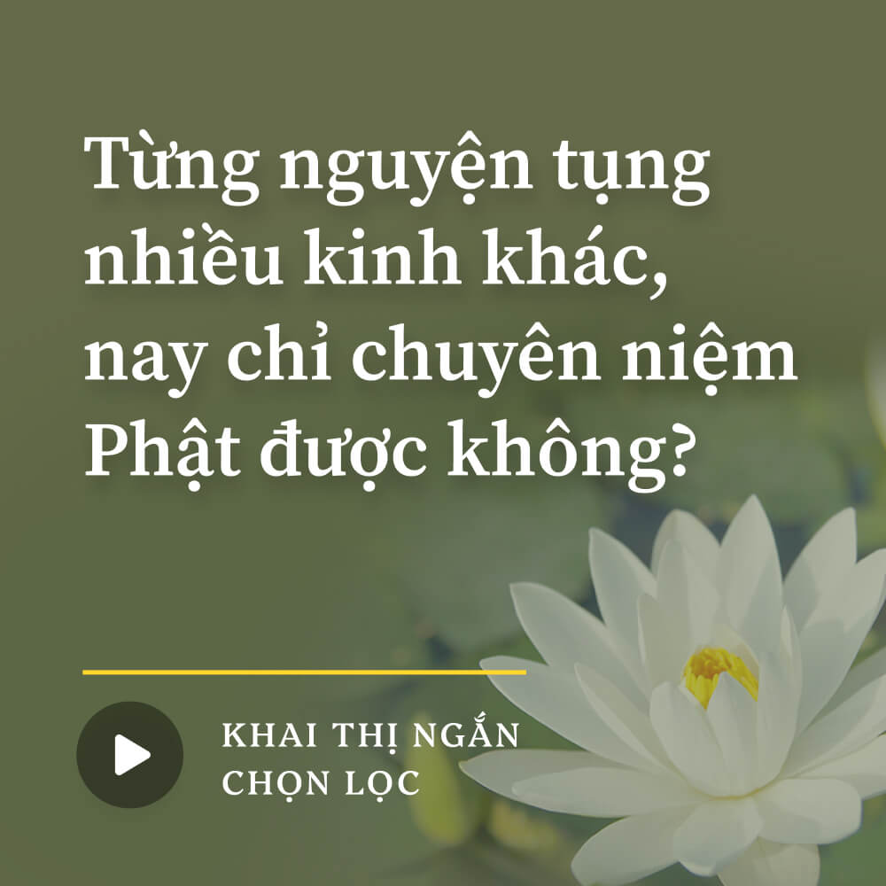 Từng nguyện tụng nhiều kinh khác, nay chỉ chuyên niệm Phật được không?