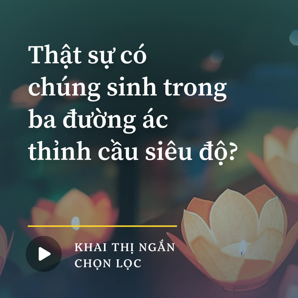 Thật sự có chúng sinh trong ba đường ác thỉnh cầu siêu độ?
