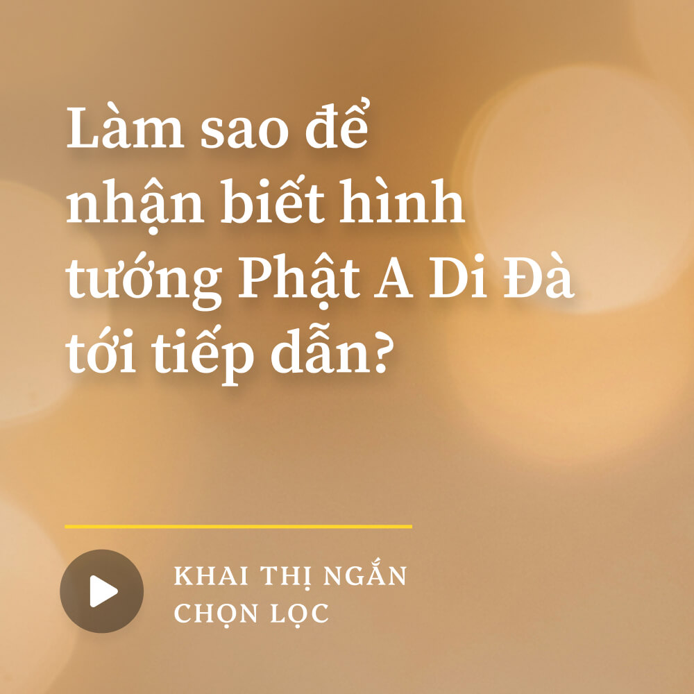 Làm sao để nhận biết hình tướng Phật A Di Đà tới tiếp dẫn?