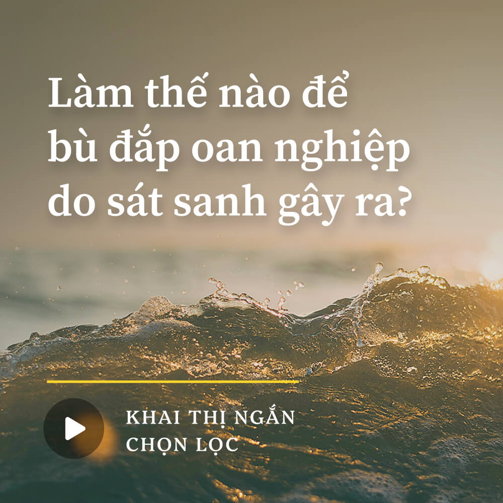 Làm thế nào để bù đắp oan nghiệp do sát sanh gây ra?