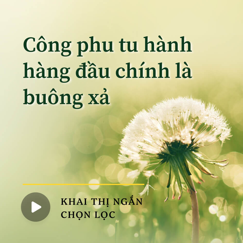 Công phu tu hành hàng đầu chính là buông xả