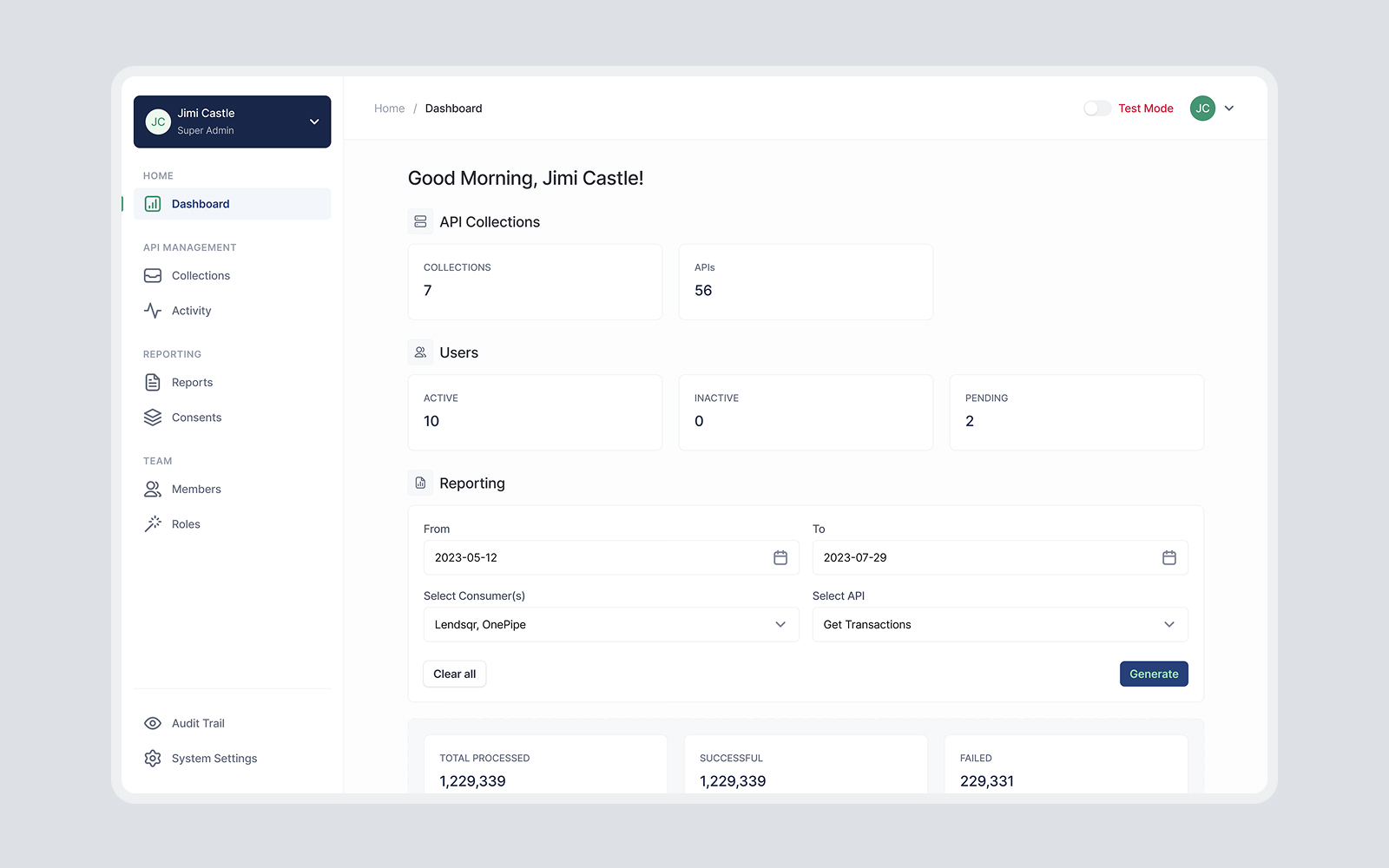 API dashboard showing user stats, API collections, reporting filters, and process summary with a sidebar menu including dashboard, collections, activity, reports, consents, members, and roles.