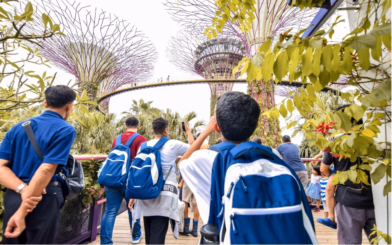 Group of tourists walking and taking photos at Gardens by the Bay with Supertree Grove structures in the background.