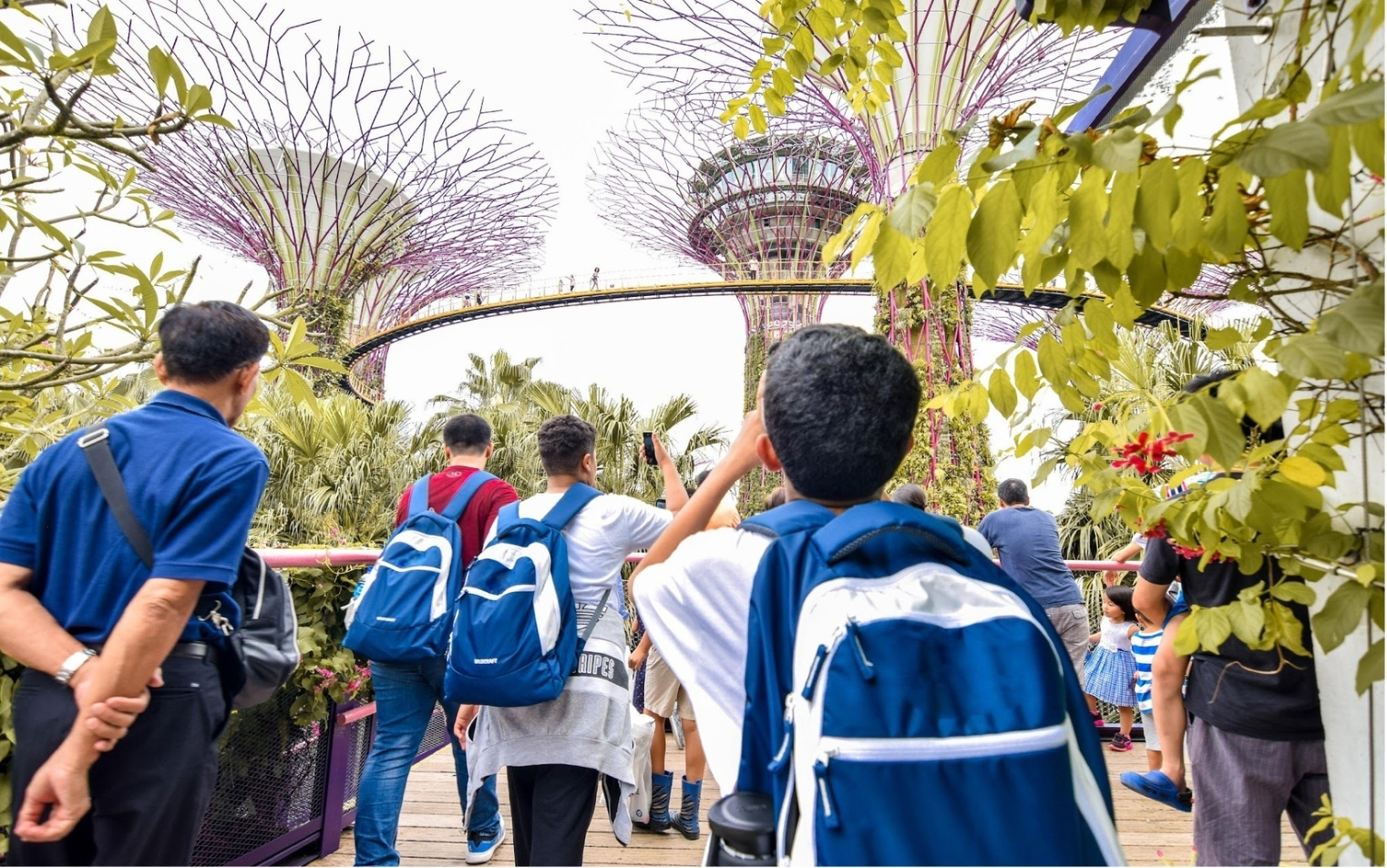 Group of people walking on a wooden pathway surrounded by greenery, looking at large futuristic tree-like structures with a skybridge above.