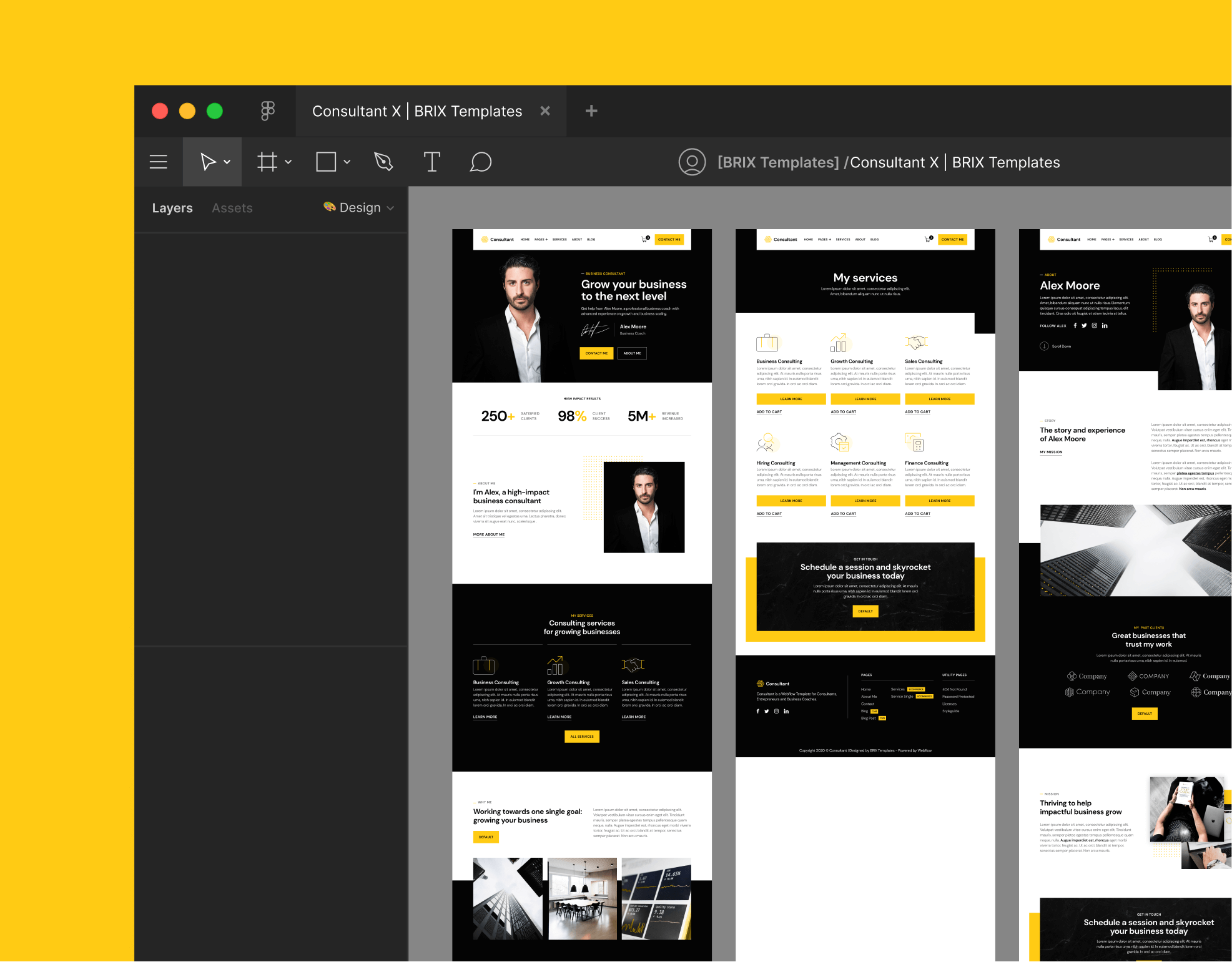 Consultant - Figma File Included - Consultant and Business Coach Webflow Template