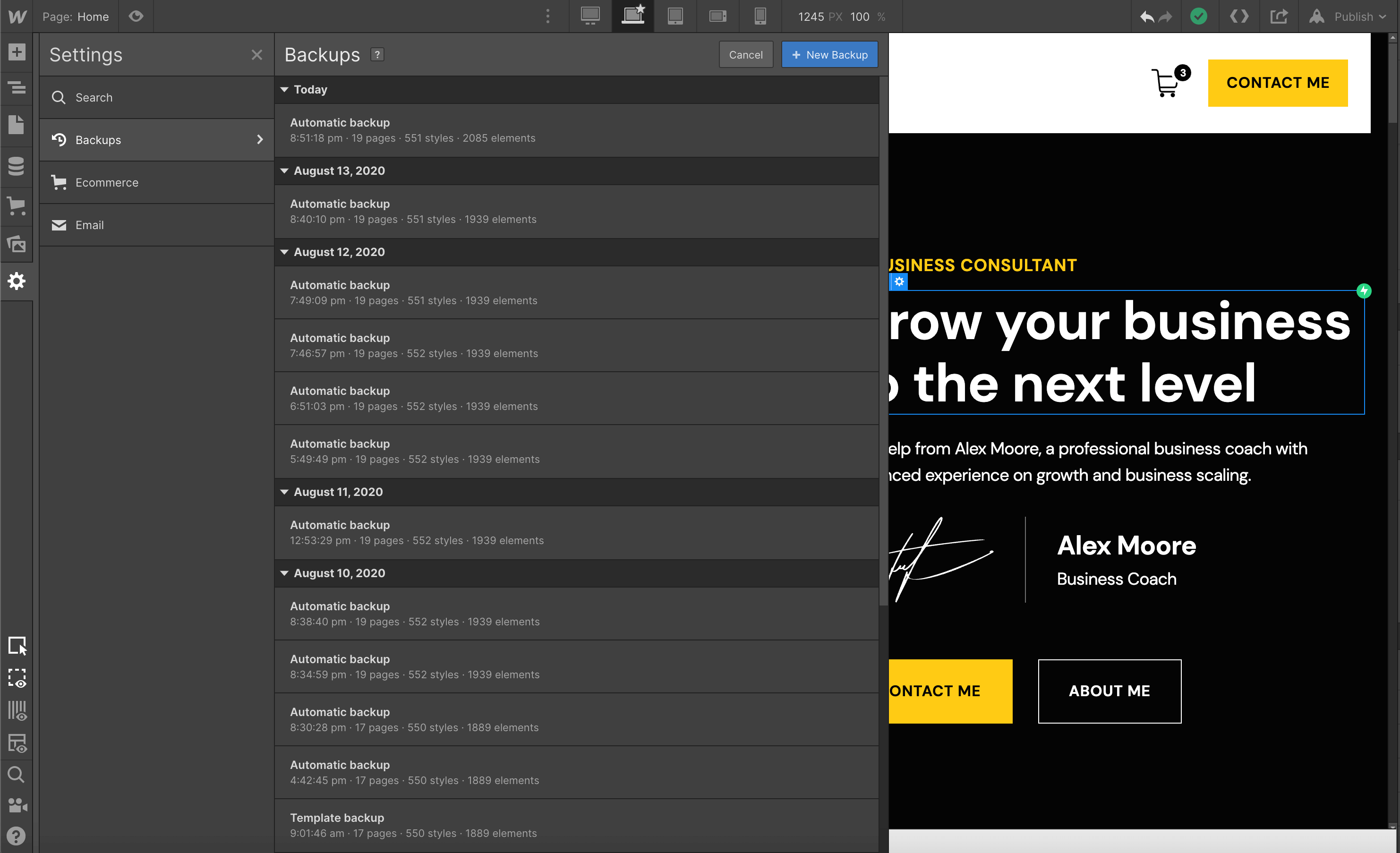 Backups - Consultant Webflow Template