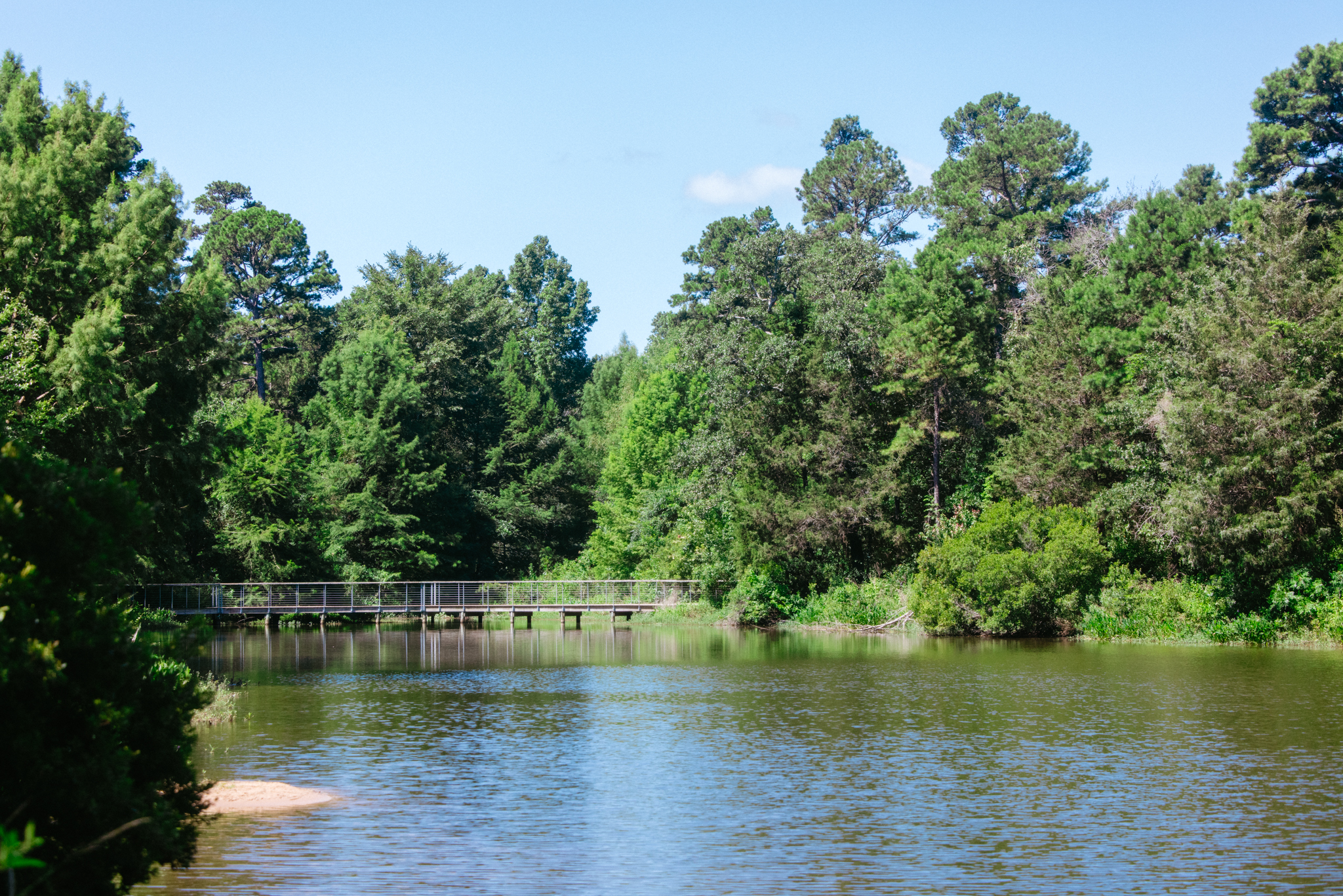 Calm lake surrounded by dense green trees under a clear blue sky with a narrow wooden pedestrian bridge crossing the water.