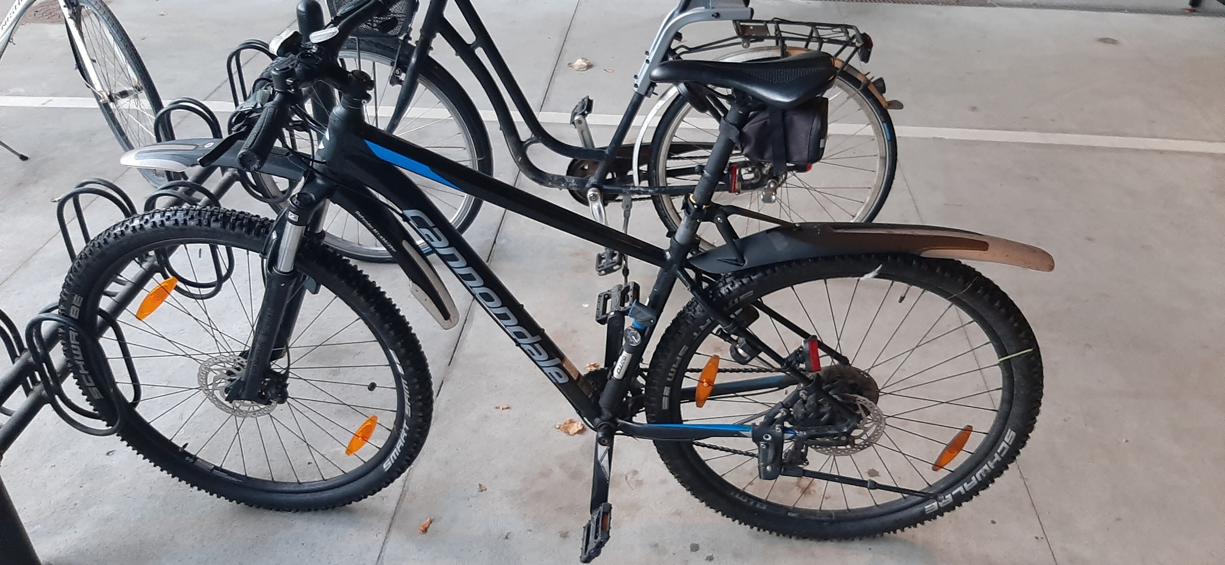 Billede af den stjålne cykel
