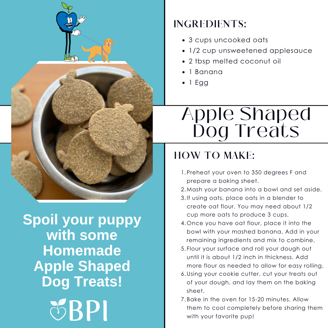 Apple Shaped Dog Treat Recipe Our canine companions provide various benefits for our autistic kiddos, including serving as a calming focus, increasing social skills, and simply offering special, unconditional love. This easy recipe is an opportunity to practice following directions and make a yummy treat for their favorite four-legged friend! Ingredients:
- 3 cups uncooked oats or oat flour
- 1/2 cup applesauce (unsweetened)
- 2 tbsp melted coconut oil
- Banana - Egg Instructions:
1. Preheat your oven to 350°F and prepare a baking sheet.
2. Mash your banana into a bowl and set aside.
3. If using oats, place oats in a blender to create oat flour. You may need about 1/2 cup more oats to produce the 3 cups.
4. Once you have oat four, place it into the bowl with your mashed banana. Add in your remaining ingredients and mix to combine.
5. Flour your surface and roll your dough out until it is about 1/2 inch in thickness. Add more flour as needed to allow for rolling. Note: You can use all-purpose flour for this step.
6. Using your cookie cutter, we used an apple-shaped one, cut treats out of your dough, and lay them on the baking sheet. Note: You can use larger or smaller cookie cutters depending on the size of your furry pal.
7. Bake in the oven for 15-20 minutes. Allow them to cool completely before sharing them with your favorite pup!