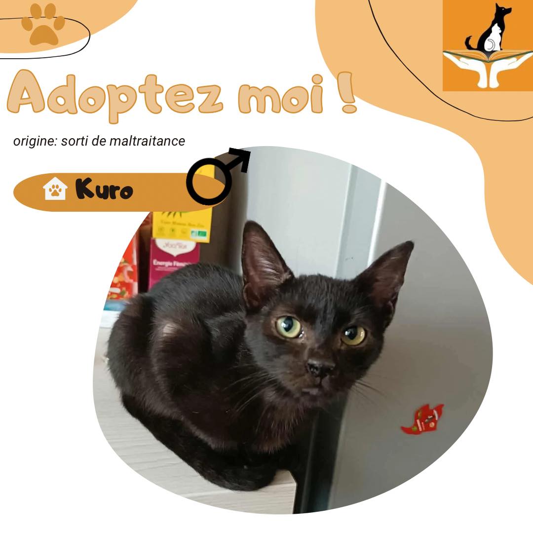 Kuro