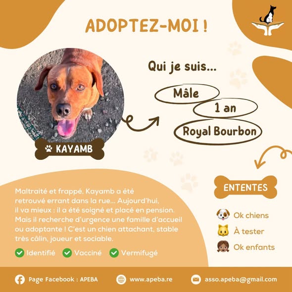 Kayamb