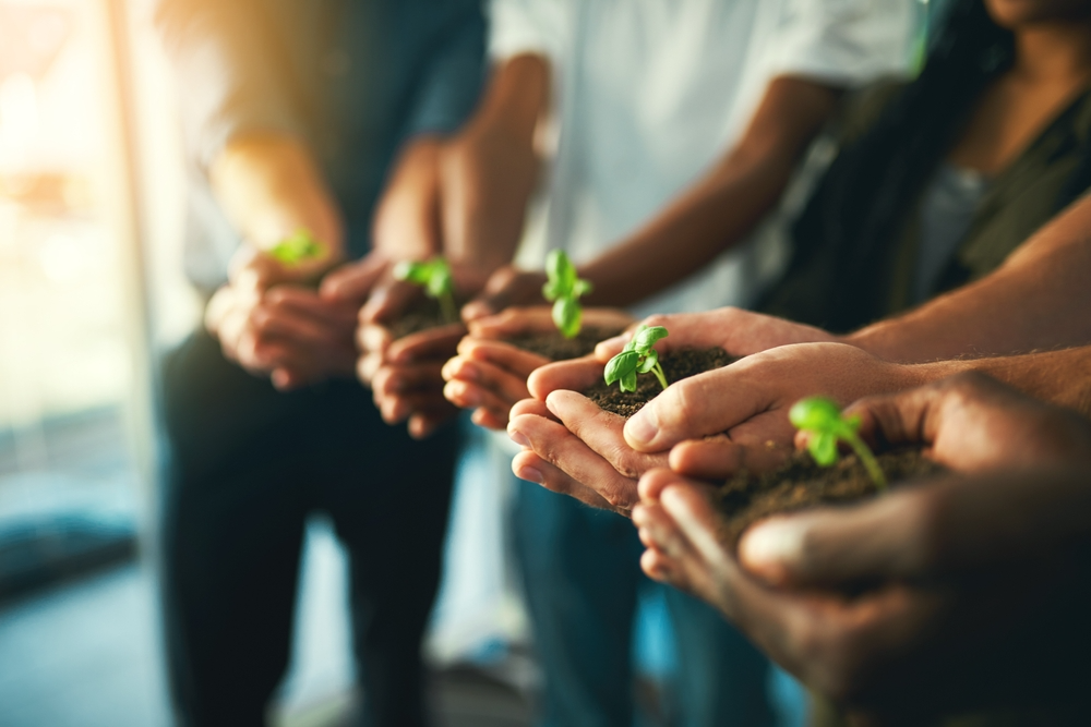A group of hands all cupping a plant each.