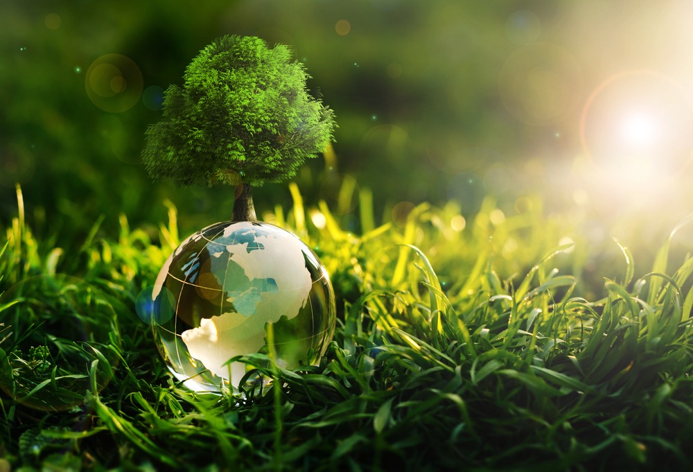 A tree growing out of a small glass globe amongst the grass.