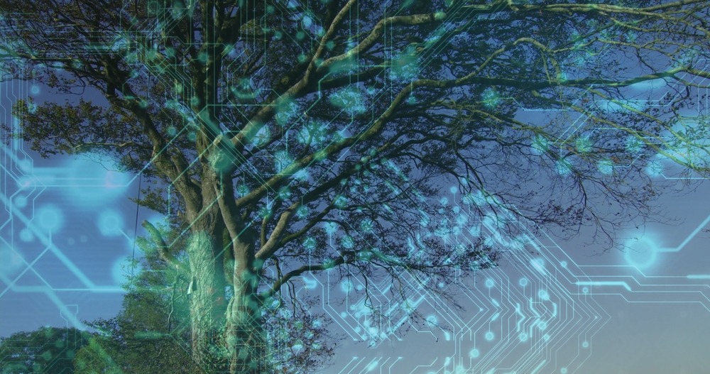 A large ancient tree growing with a digital graphics over the top.