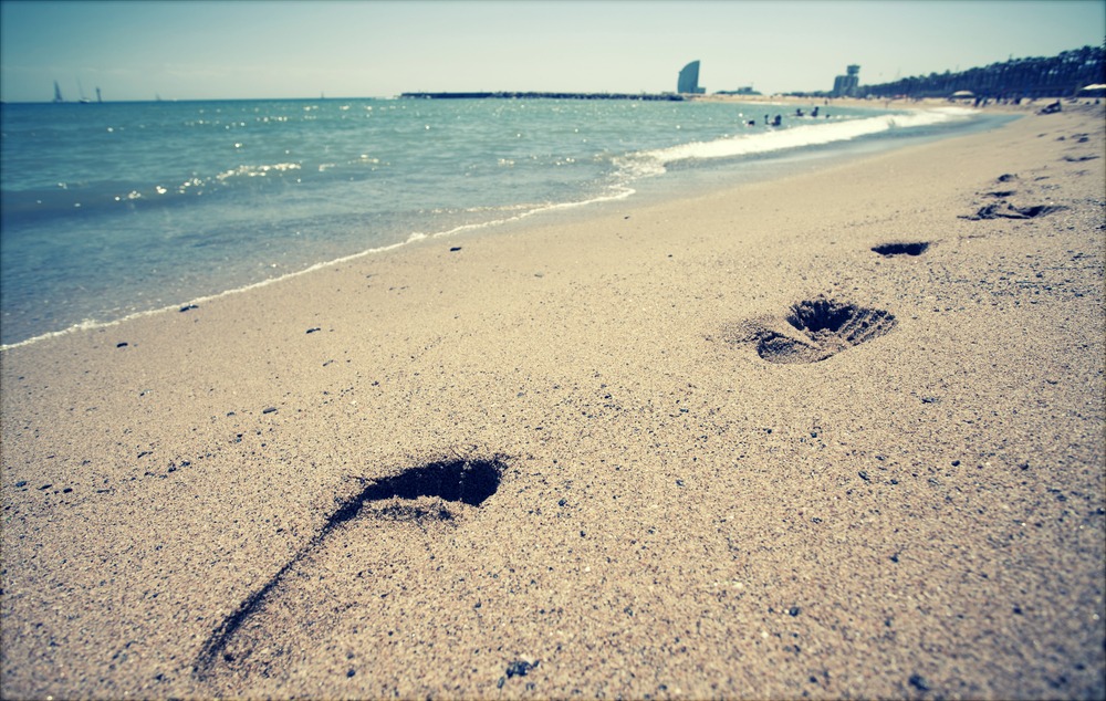 Footprints in the sand along the shoreline of a beach showing easy tracking.