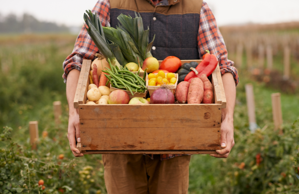 Our Guide to Organic Advertising Strategies