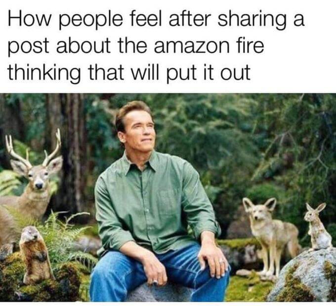 social media post img