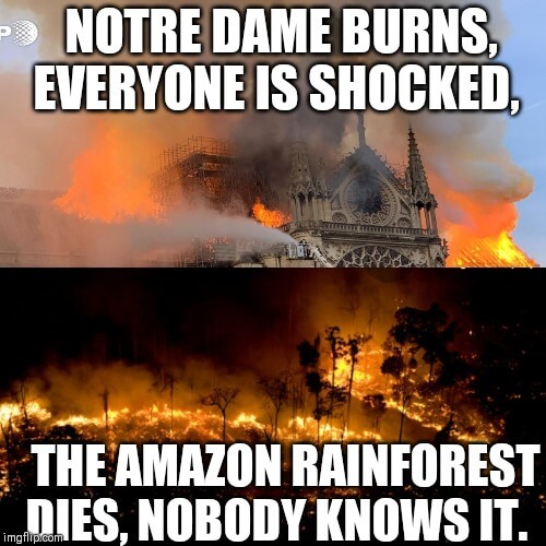 notre dame burns