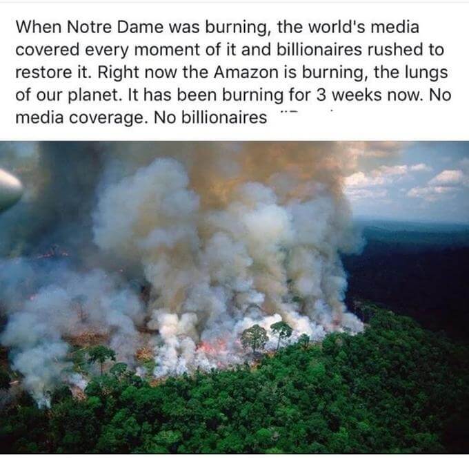 notre dame burning social media post