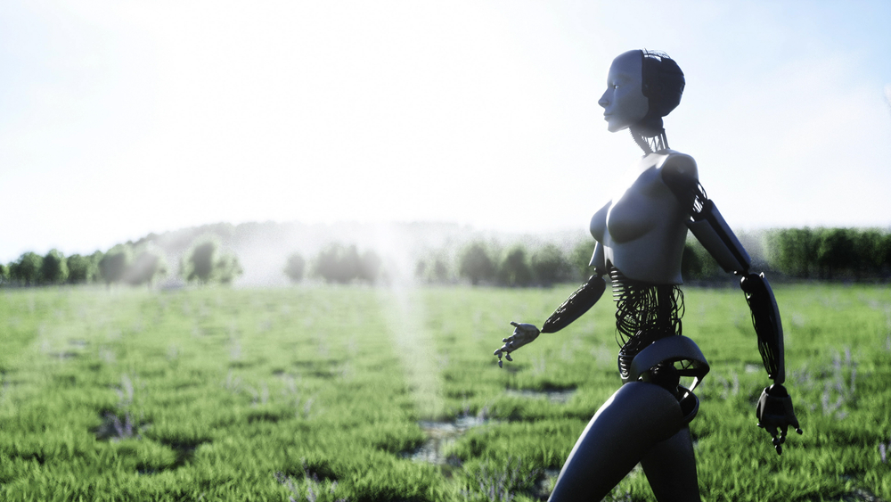 The Impact of AI on the Customer Journey