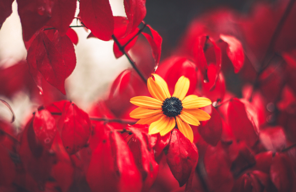 Holiday Marketing Tips: How to Stand Out