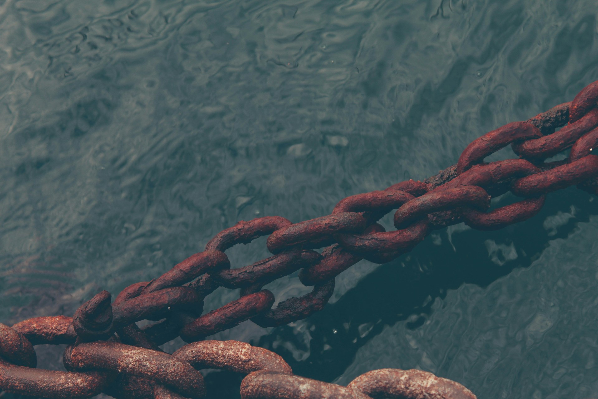 Our Guide to SEO Link Building