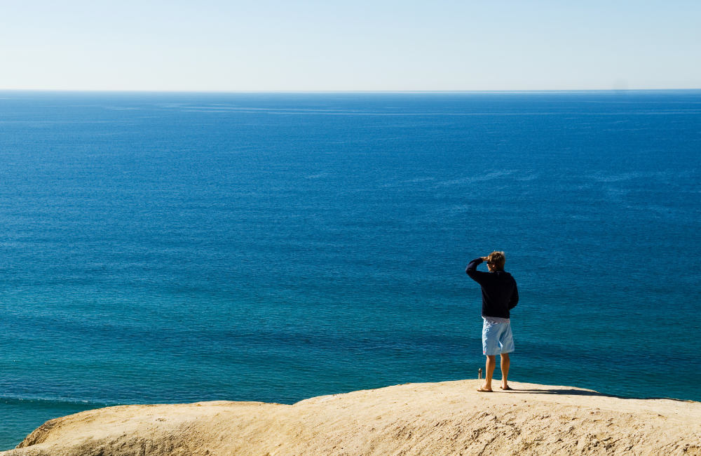 Zero Click Searches: How Will They Impact My SEO?