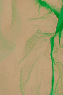 The Economic Threat of Antimicrobial Resistance: Why Immediate Action Is Critical