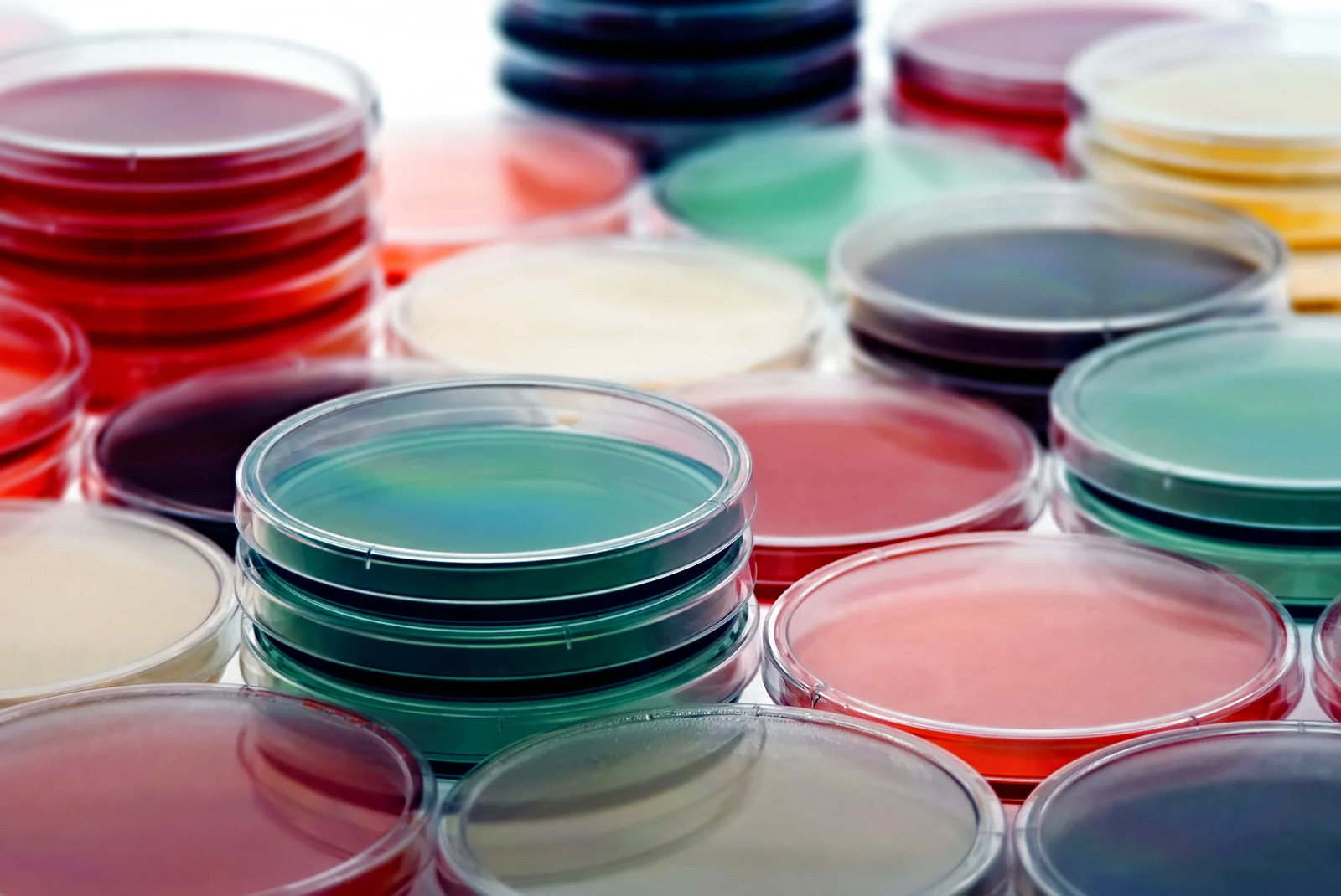 Stop missing horizontal transmissions: from hospital sample to genomic insight